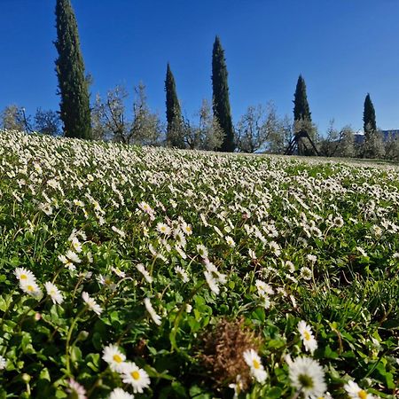 Agriturismo Val Della Pieve 앙기아리 외부 사진