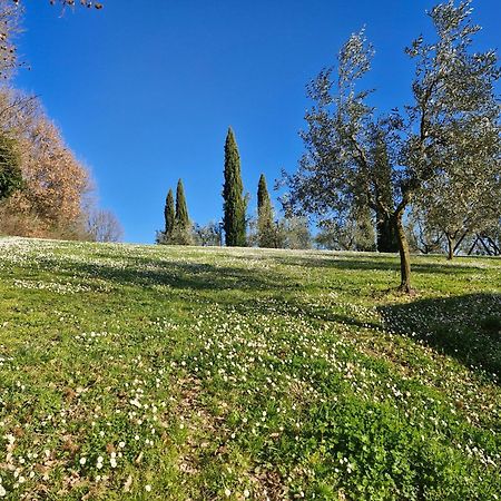 Agriturismo Val Della Pieve 앙기아리 외부 사진