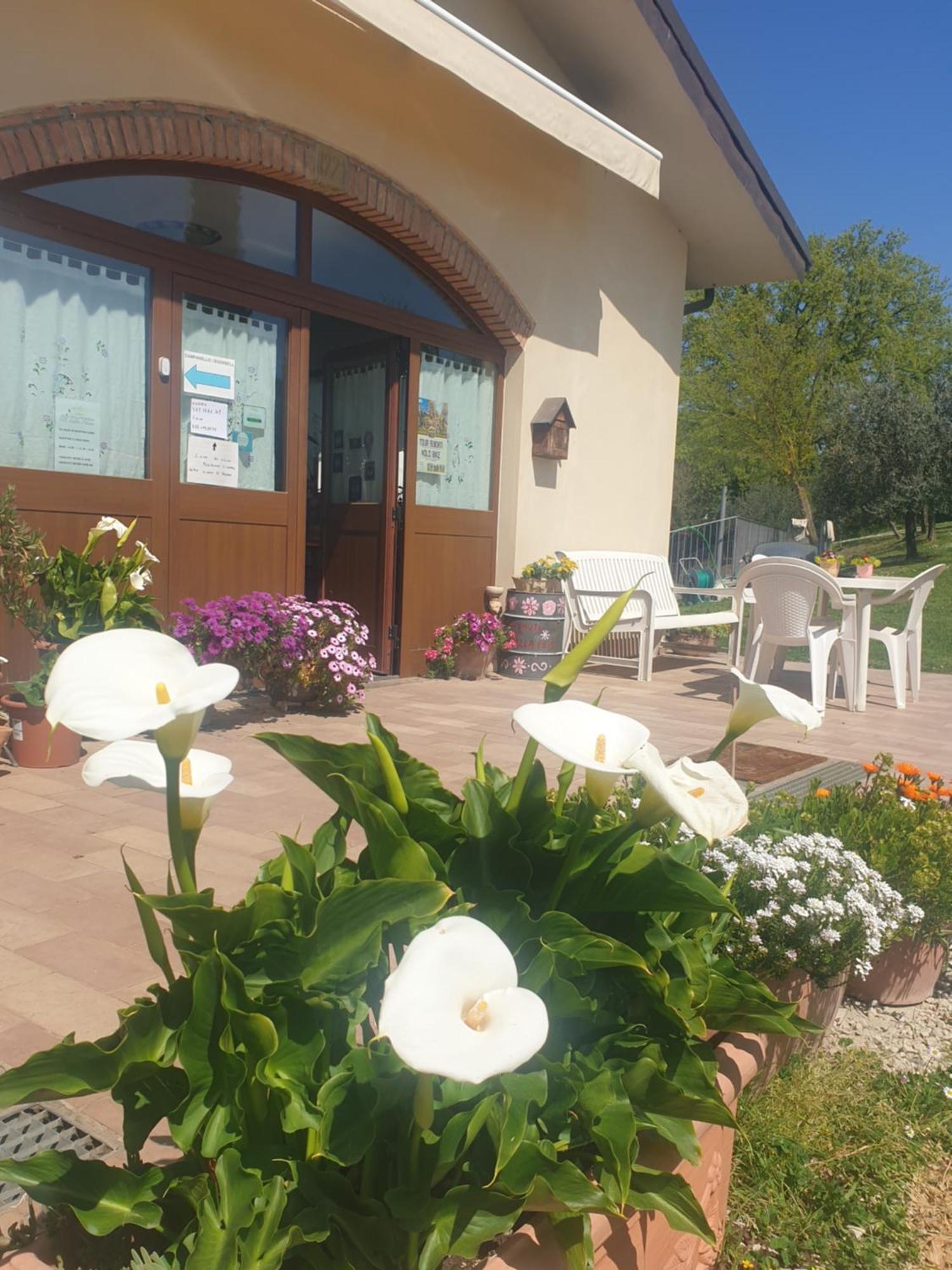Agriturismo Val Della Pieve 앙기아리 외부 사진